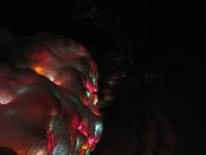 IMG_1271