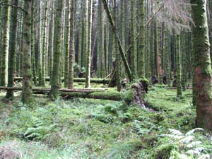 IMG_8087