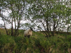IMG_8698