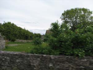IMG_9358