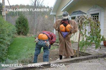pumpkinflasher