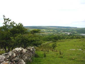 IMG_0885