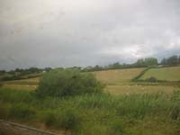 IMG_0809